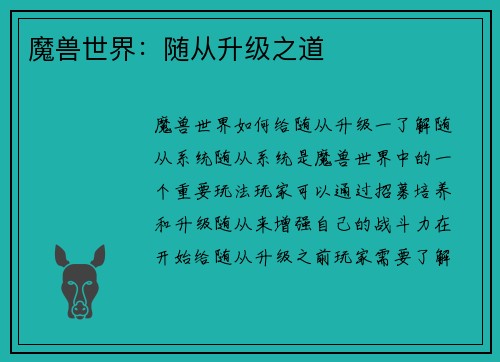 魔兽世界：随从升级之道